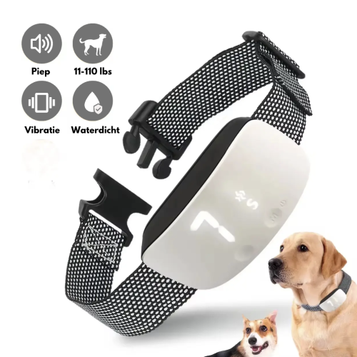 Antibark Collar